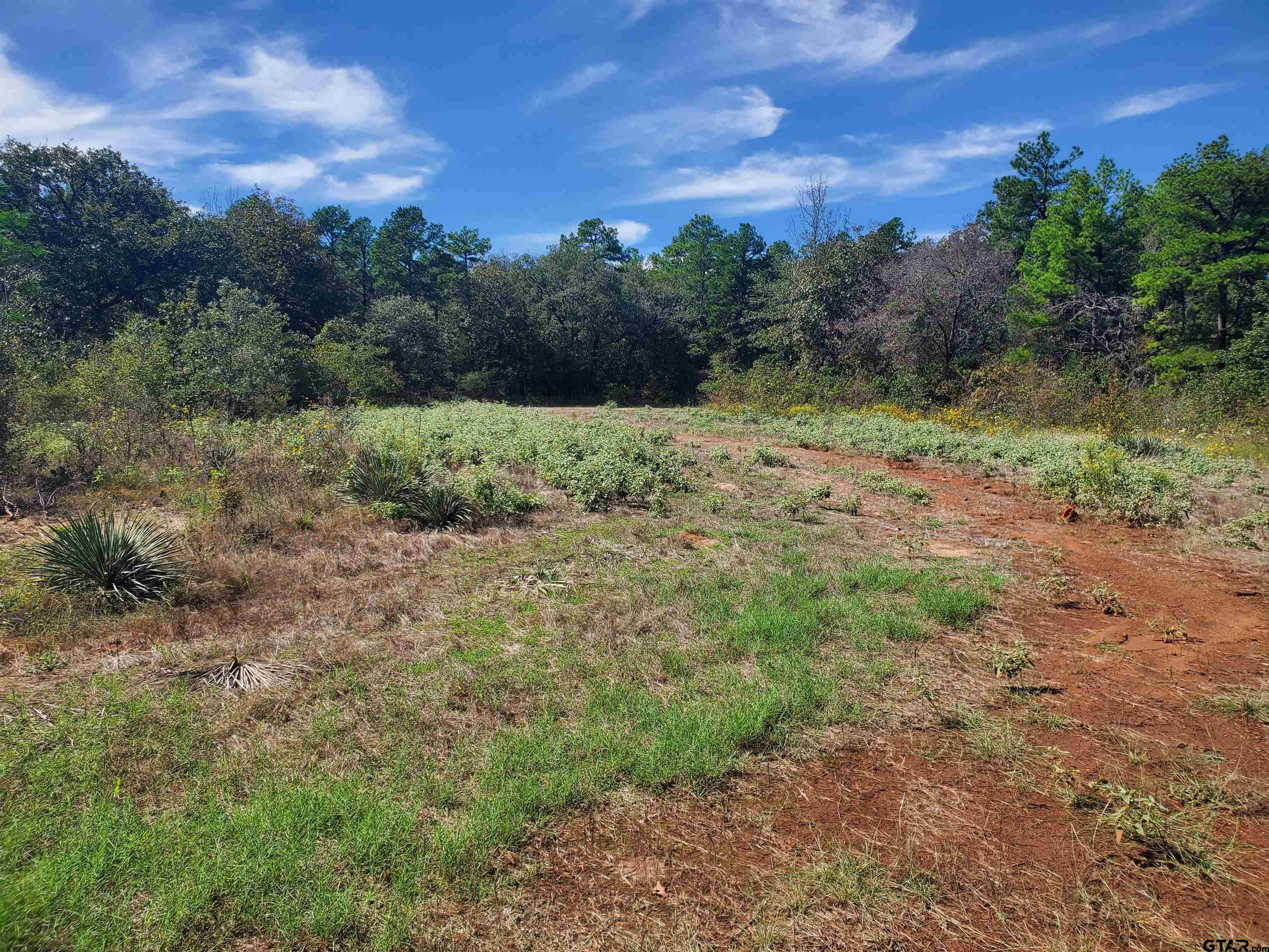 15160 County Road 1227 Property Photo 13