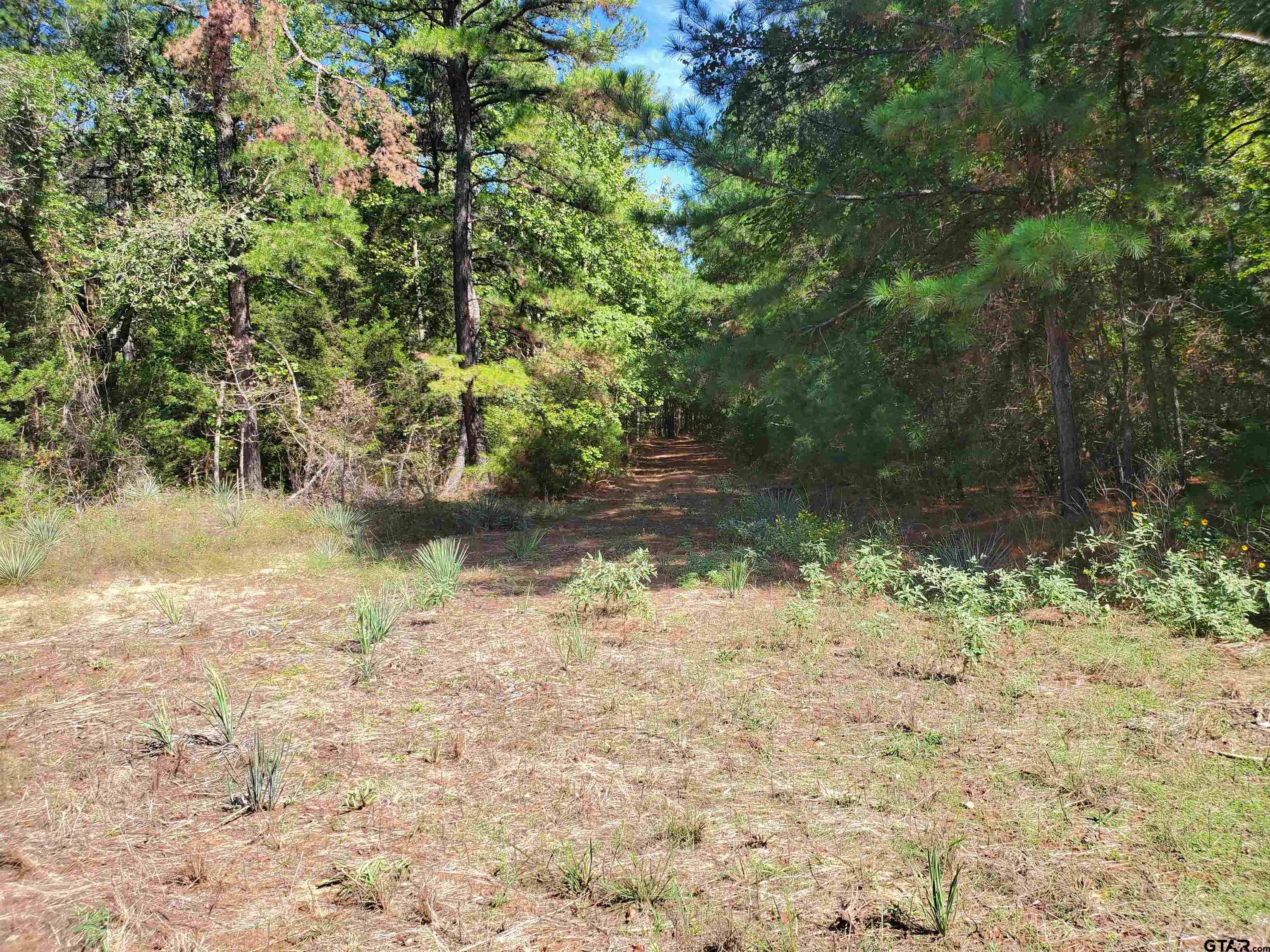15160 County Road 1227 Property Photo 14