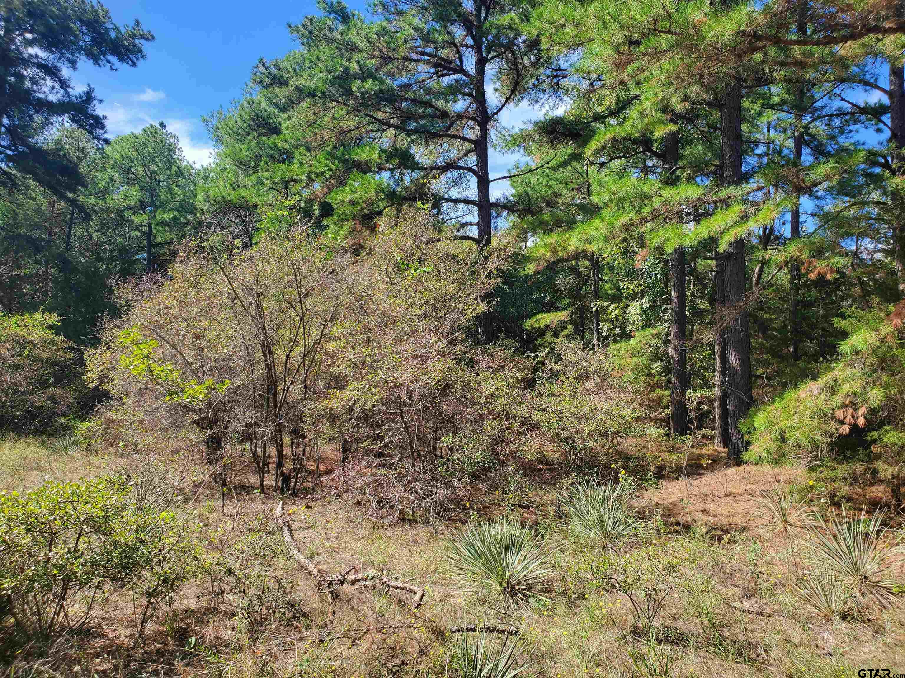 15160 County Road 1227 Property Photo 16