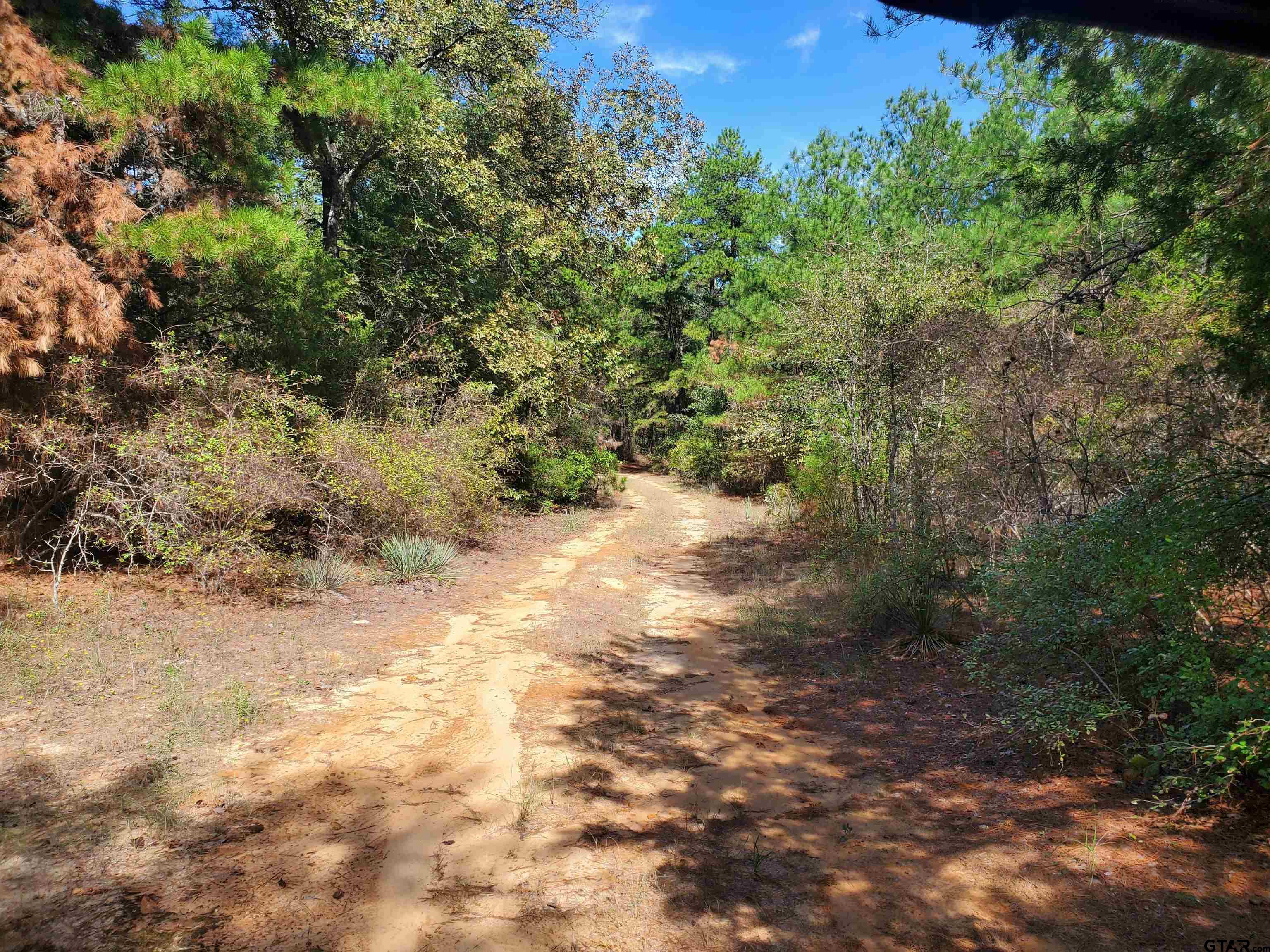 15160 County Road 1227 Property Photo 17