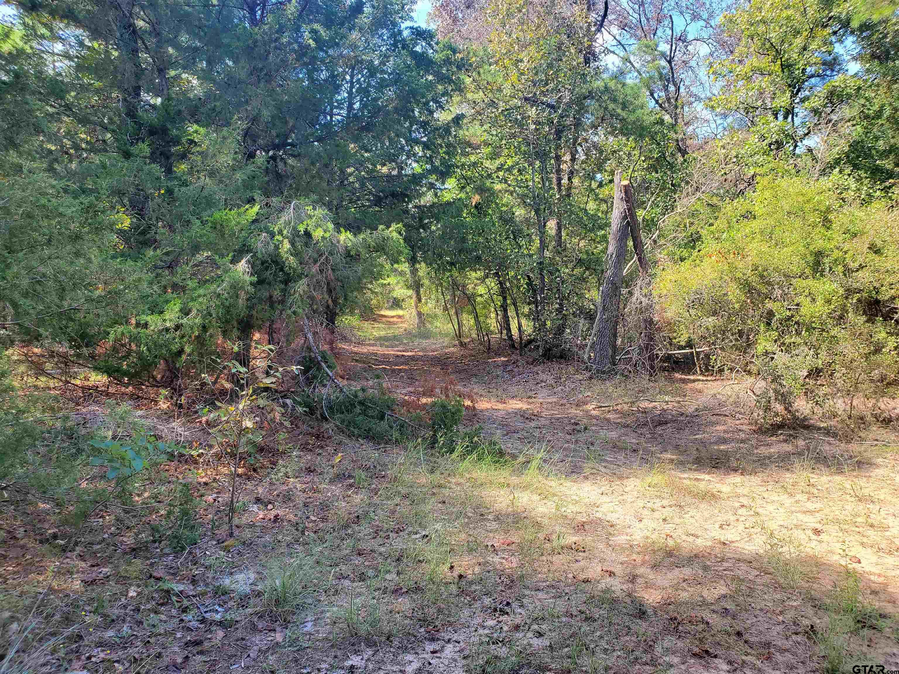 15160 County Road 1227 Property Photo 18