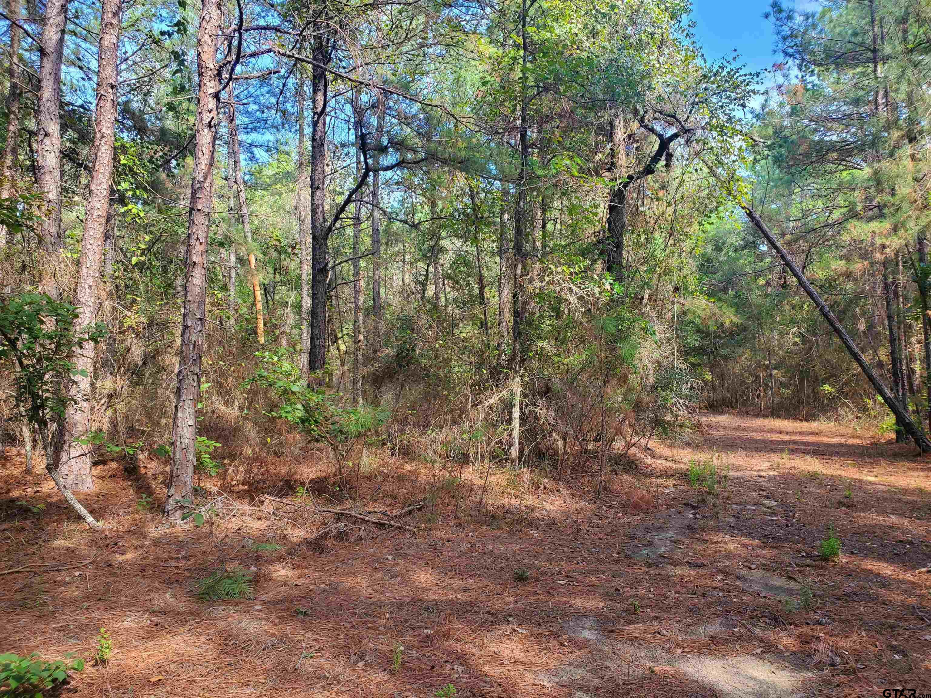 15160 County Road 1227 Property Photo 19