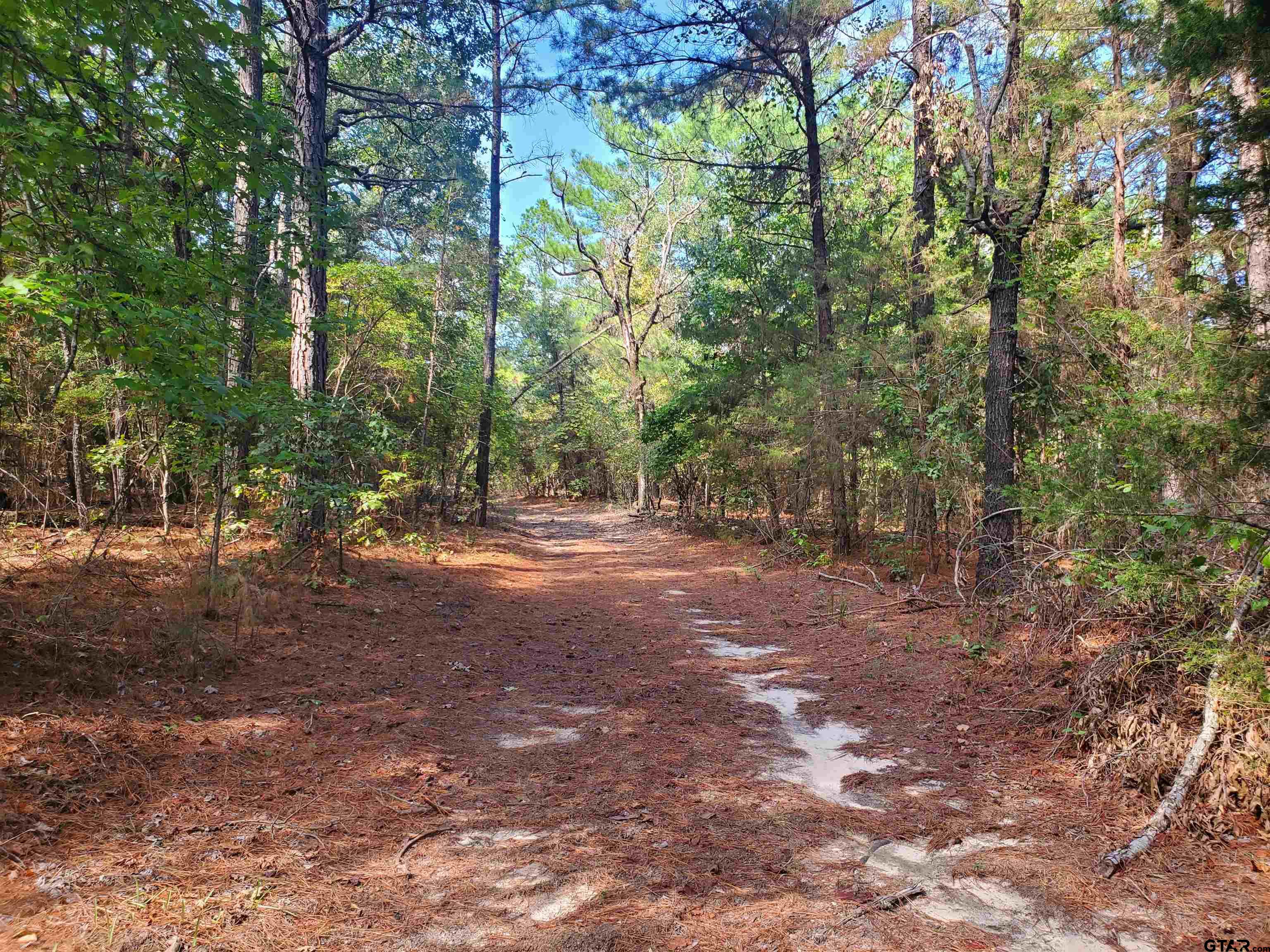 15160 County Road 1227 Property Photo 20