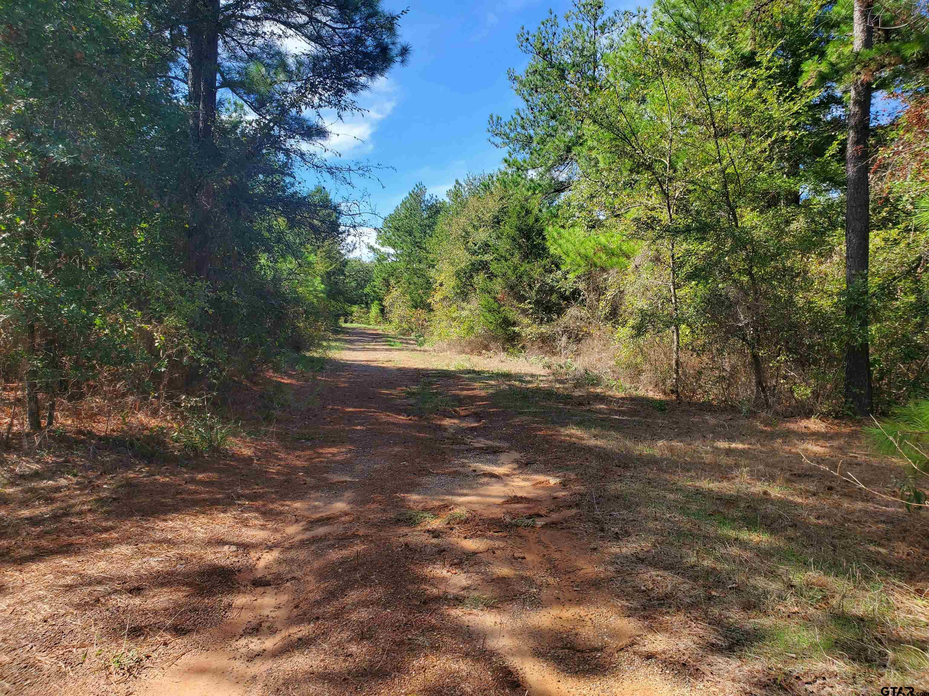 15160 County Road 1227 Property Photo 25