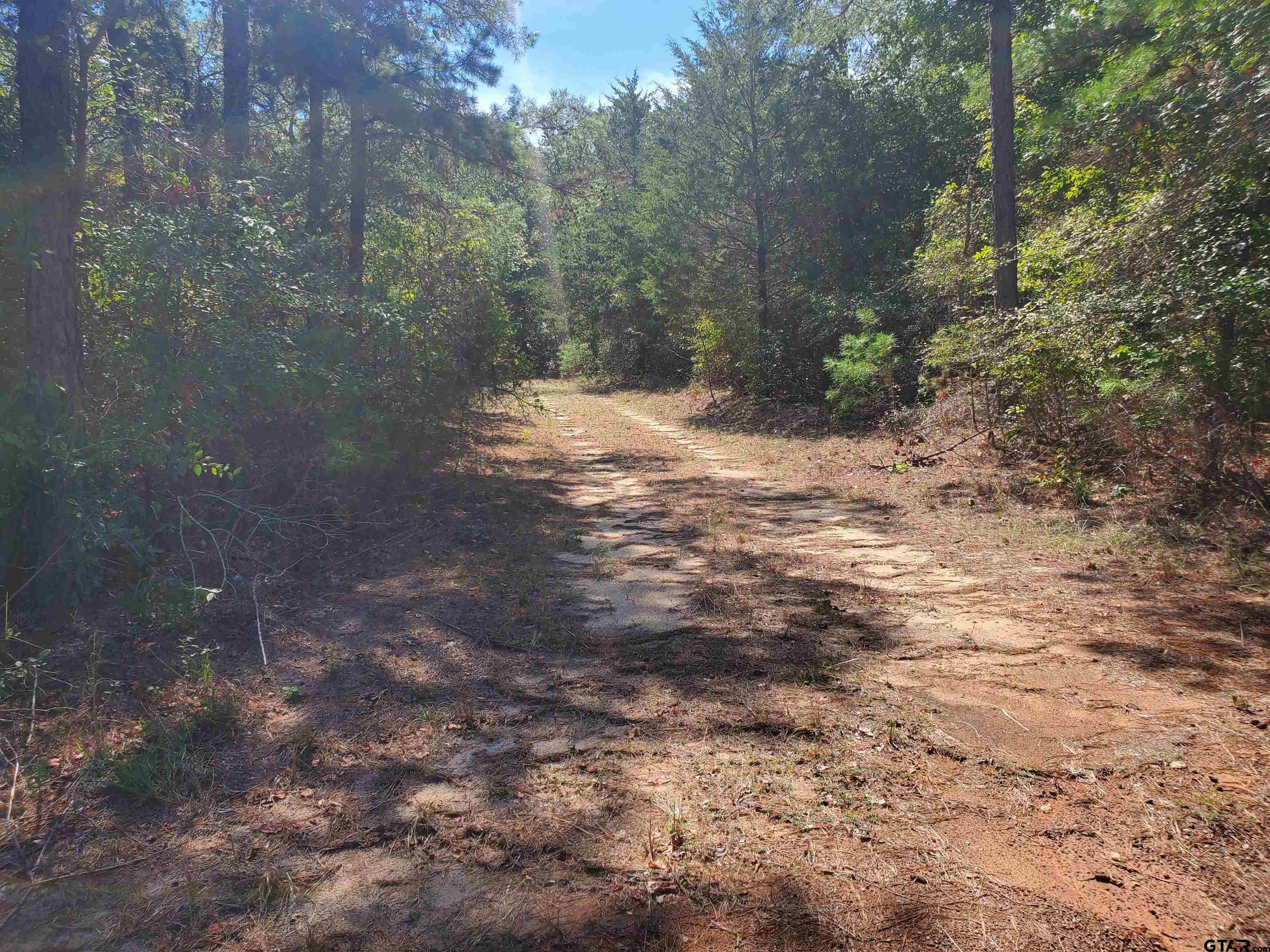 15160 County Road 1227 Property Photo 26