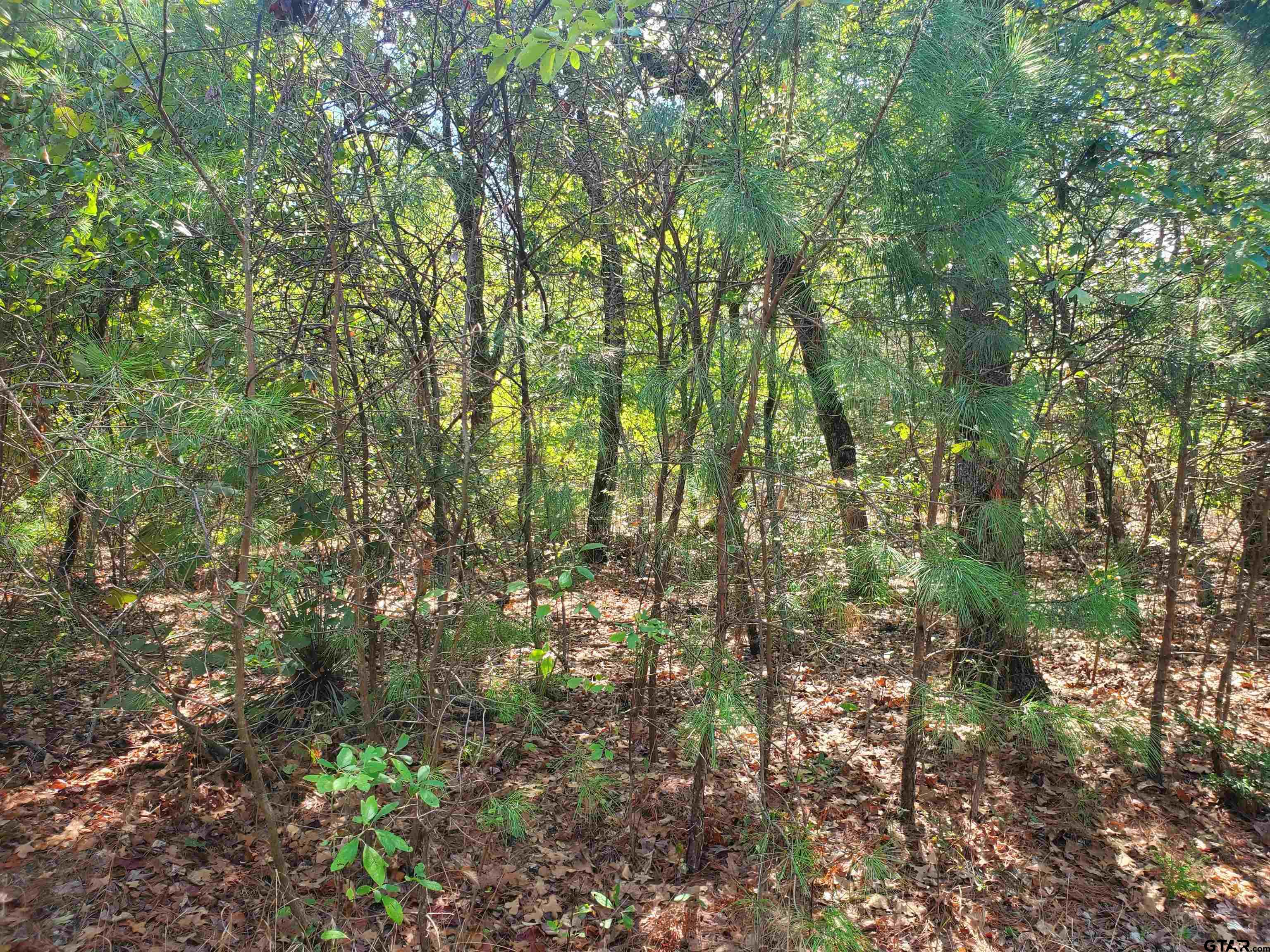 15160 County Road 1227 Property Photo 27