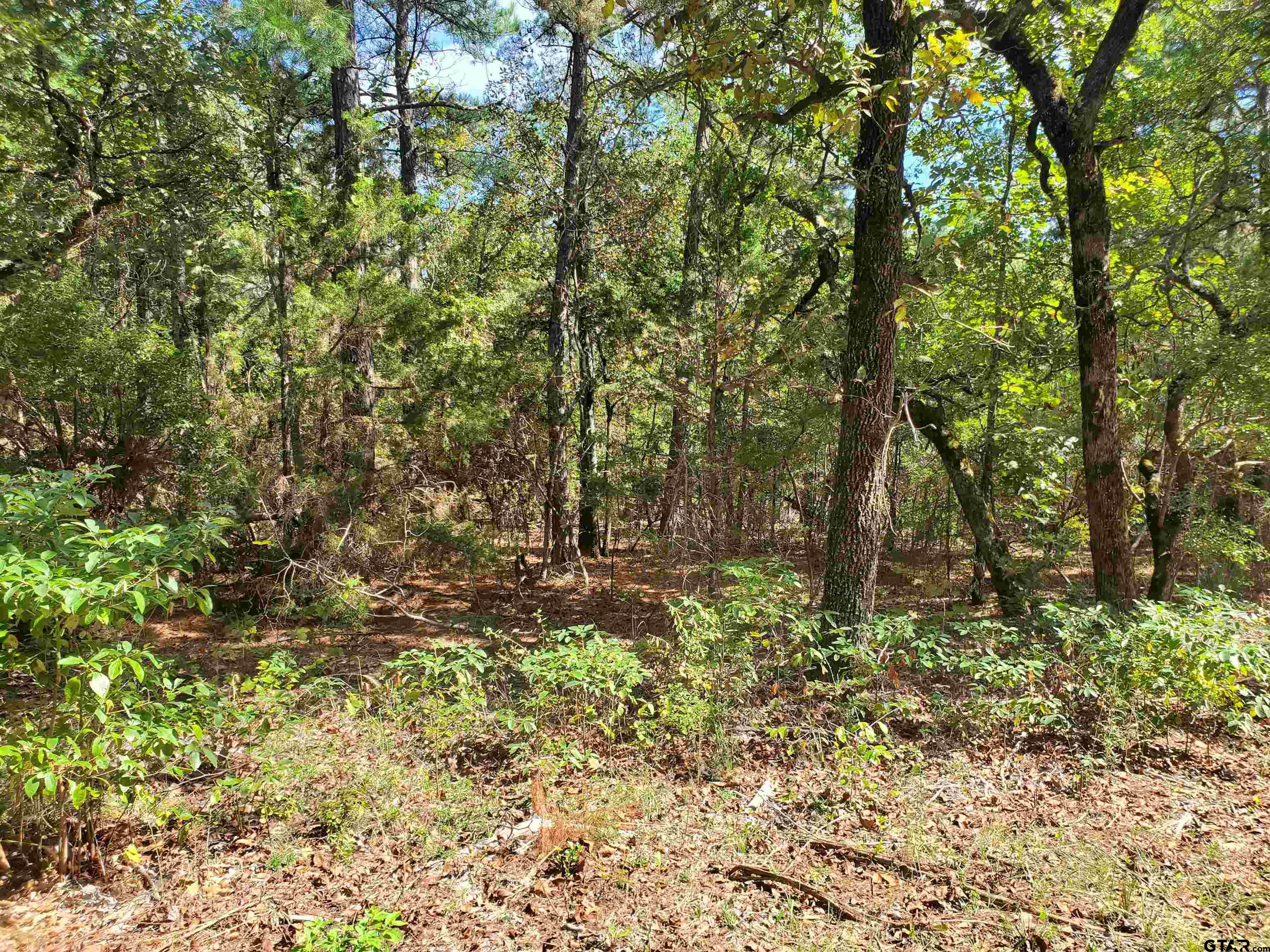 15160 County Road 1227 Property Photo 29
