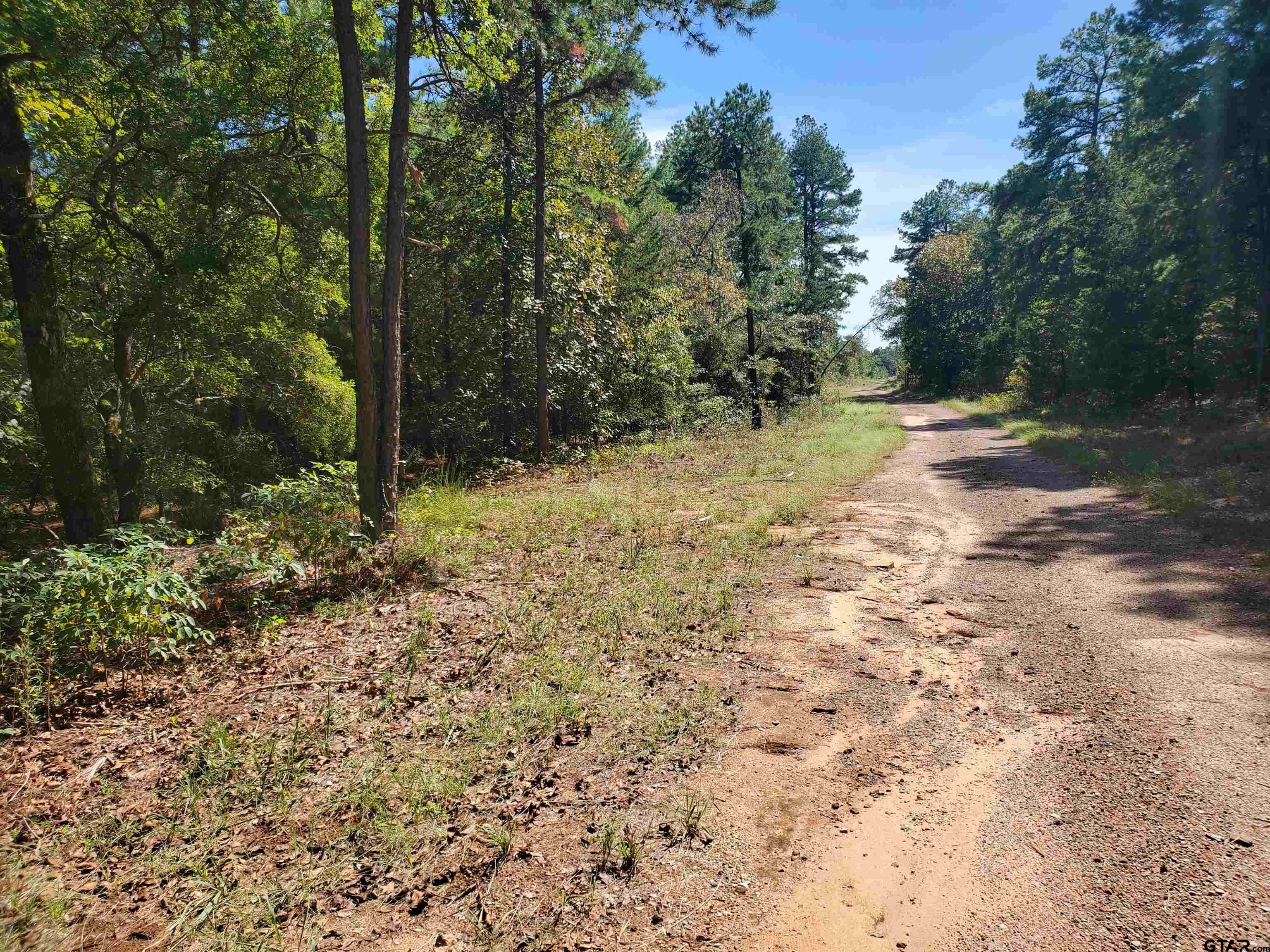 15160 County Road 1227 Property Photo 30