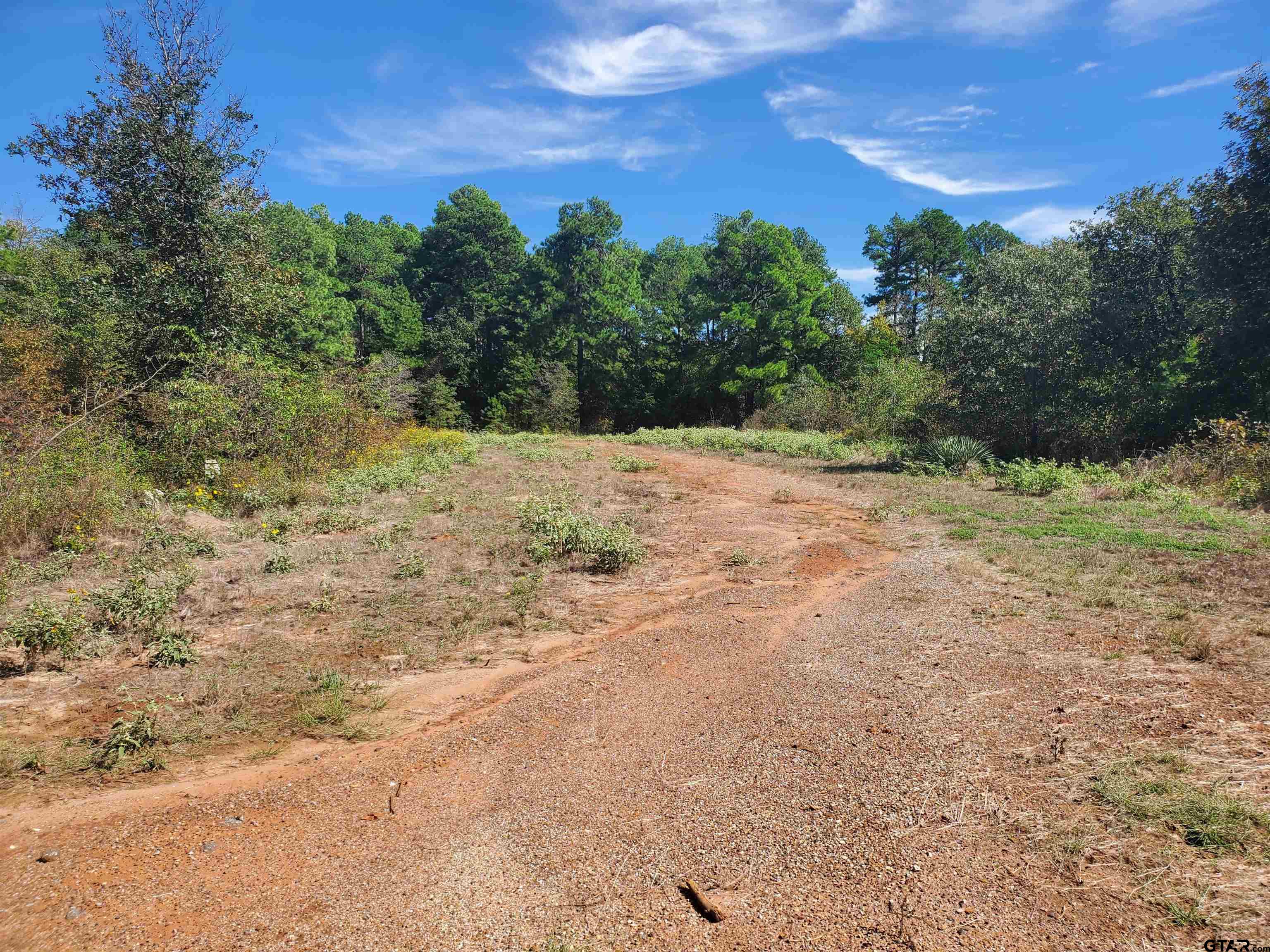 15160 County Road 1227 Property Photo 31