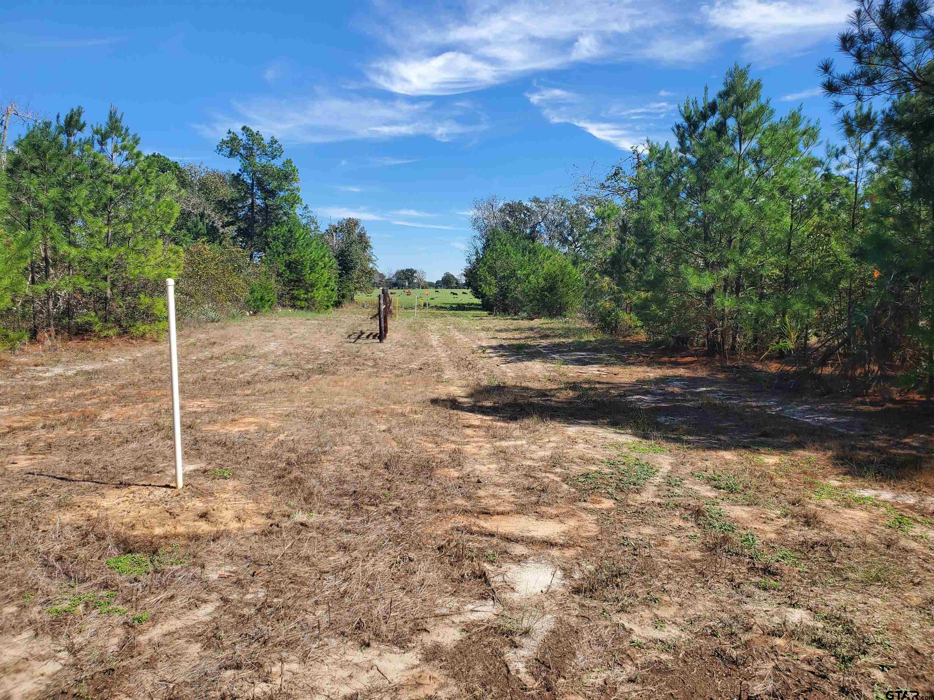 15160 County Road 1227 Property Photo 32