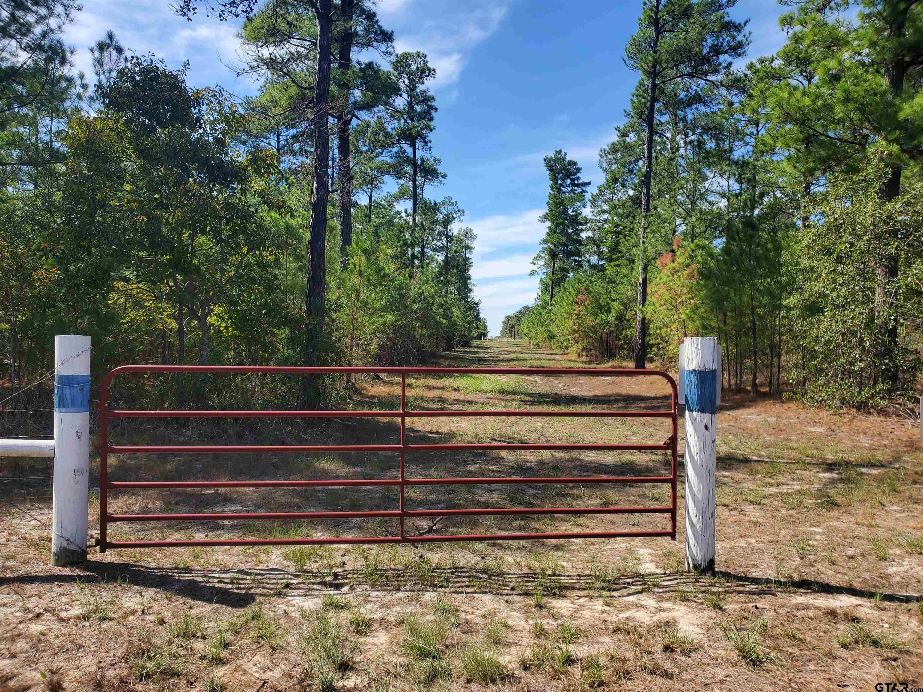 15160 County Road 1227 Property Photo 33