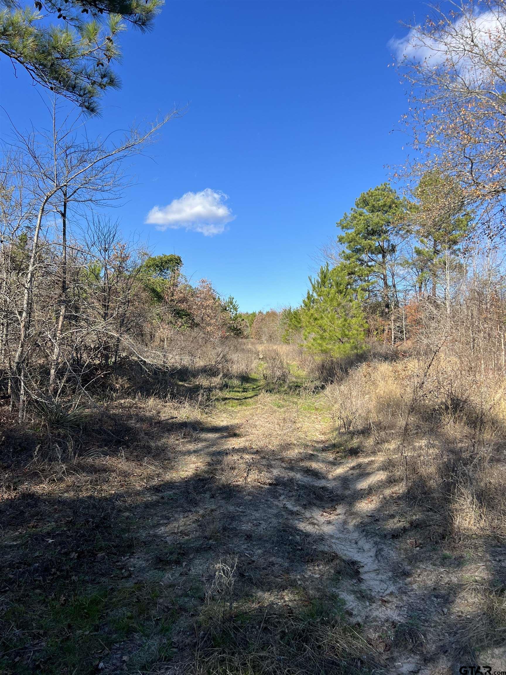 Cr 129 & 15 Property Photo 5