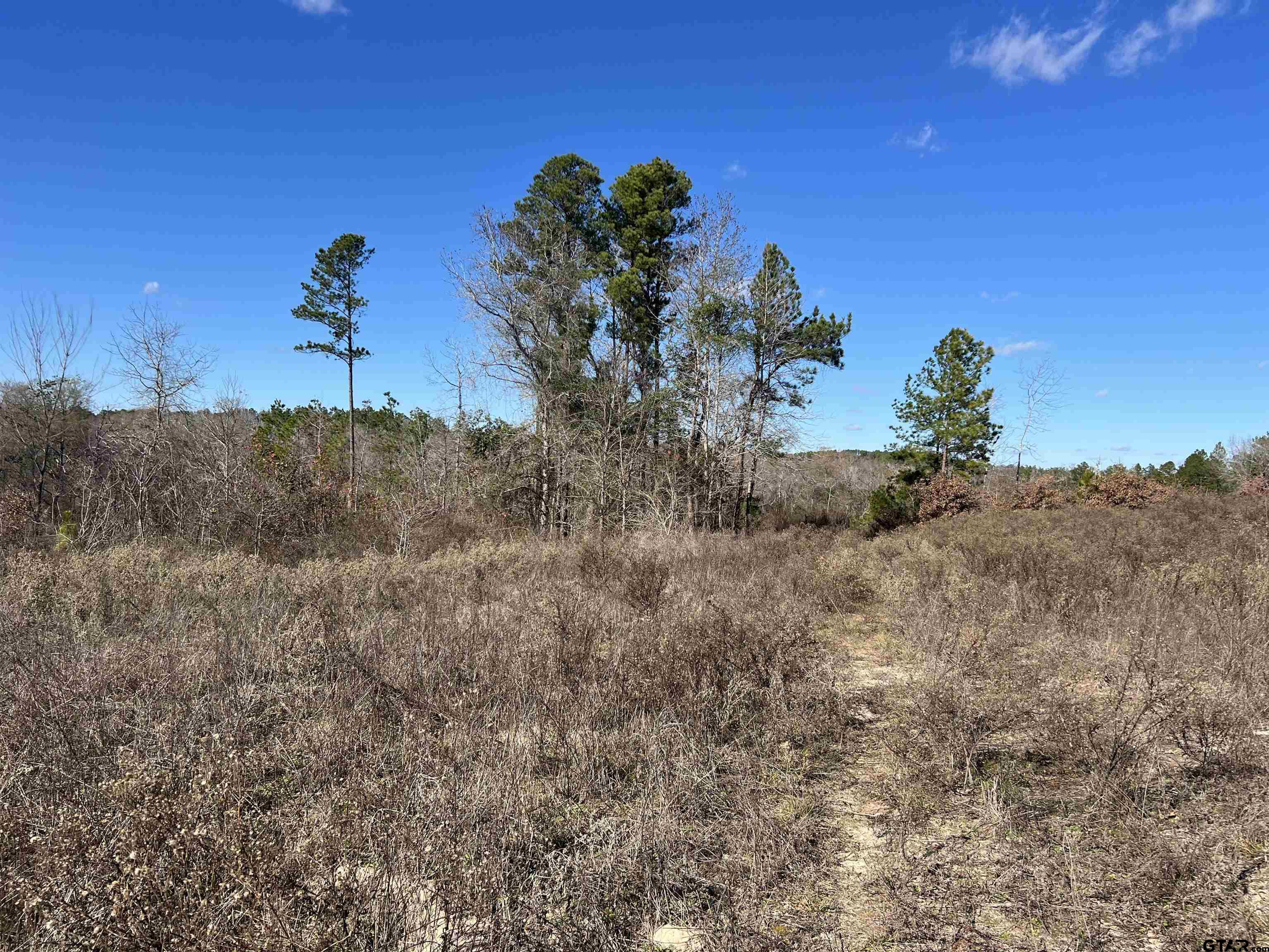 Cr 129 & 15 Property Photo 6