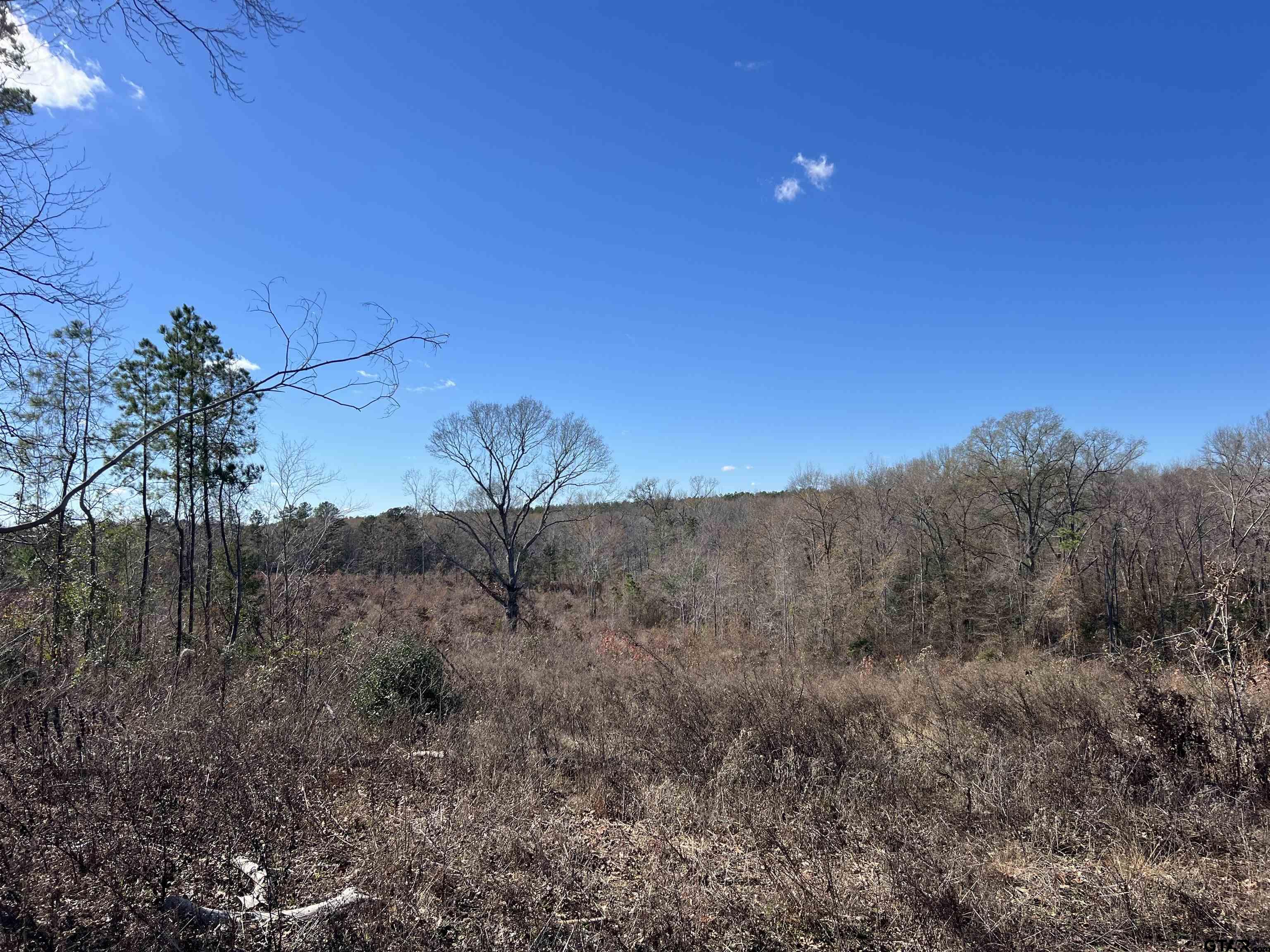 Cr 129 & 15 Property Photo 7