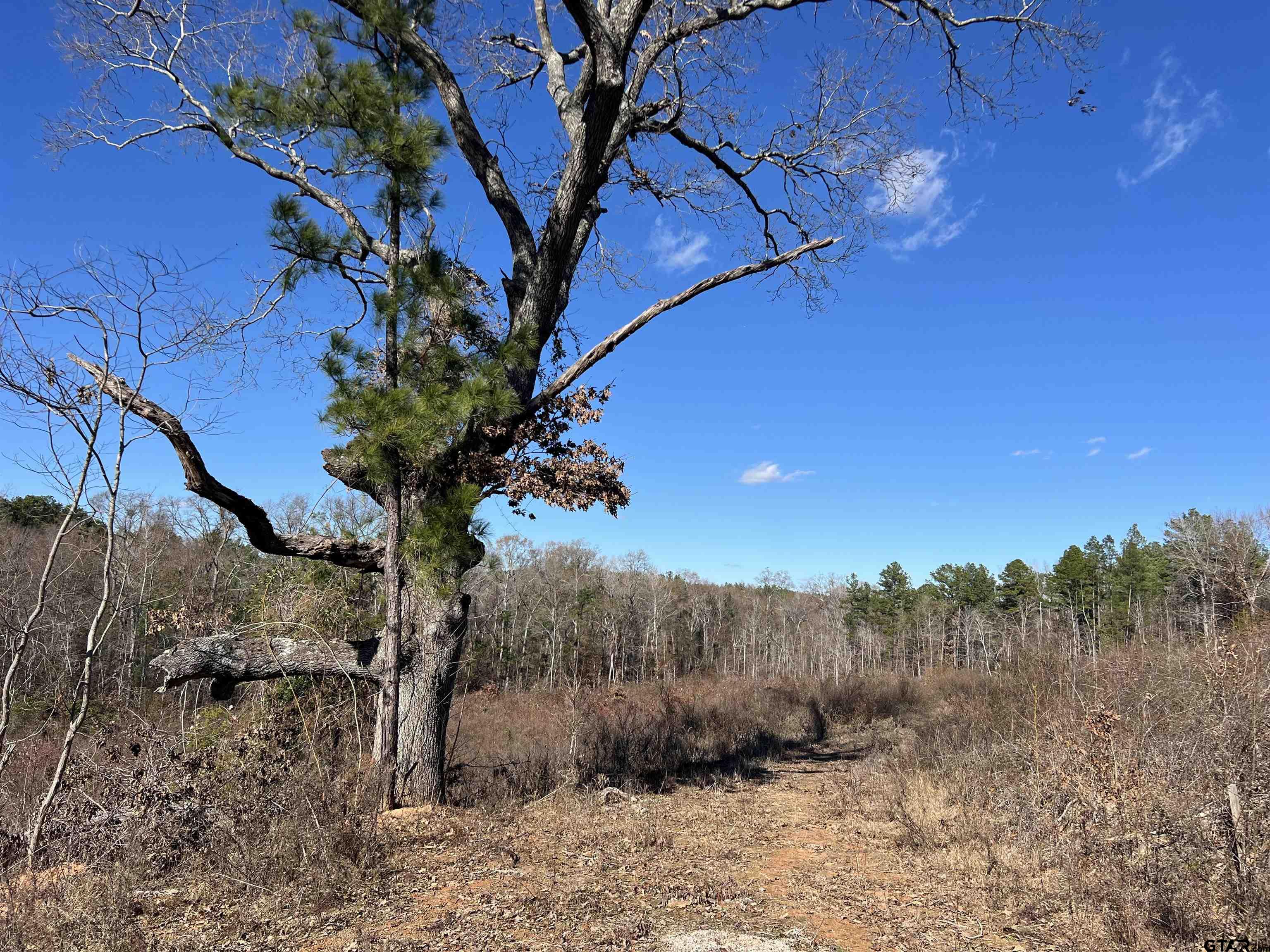 Cr 129 & 15 Property Photo 9