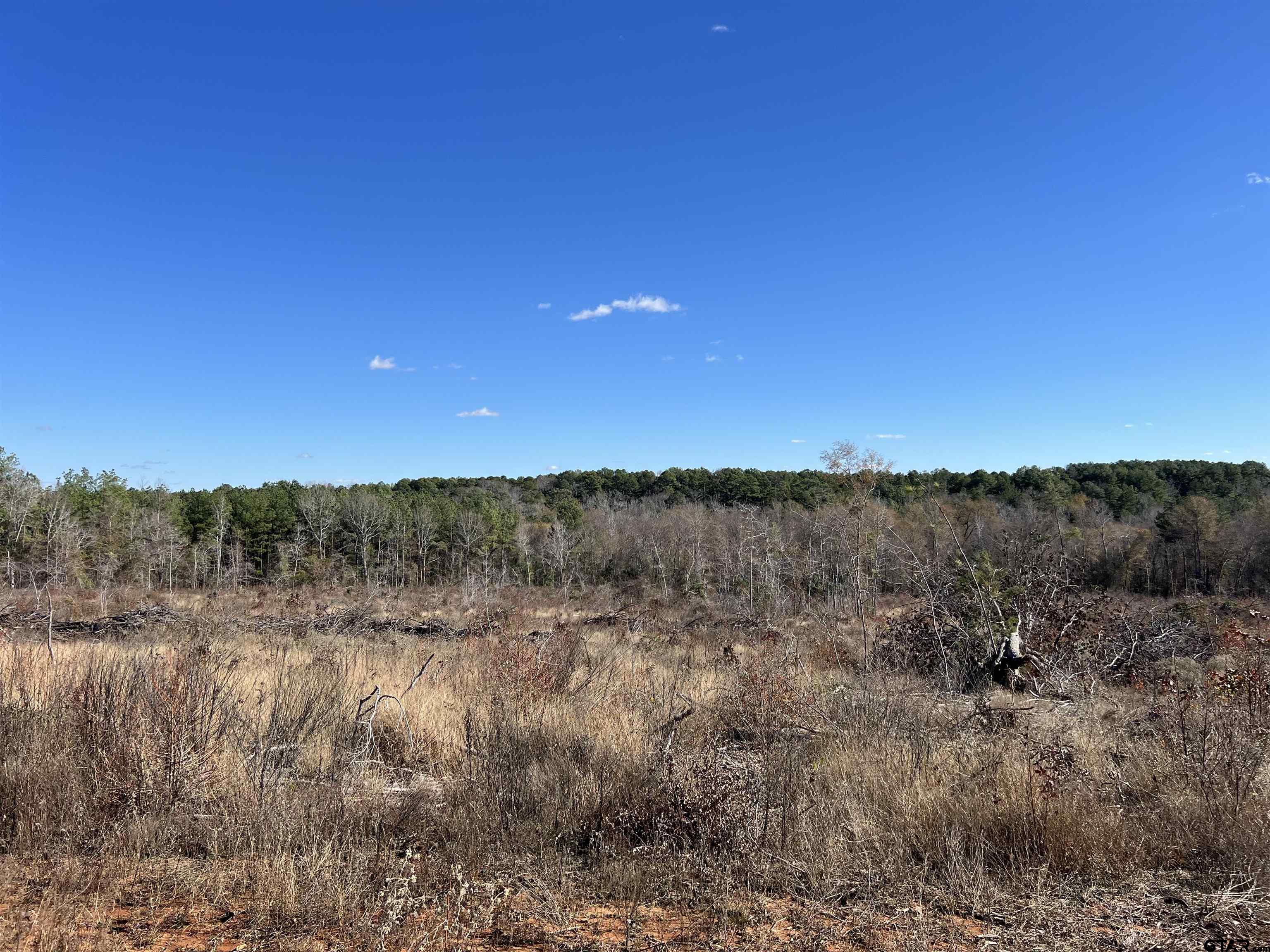 Cr 129 & 15 Property Photo 15