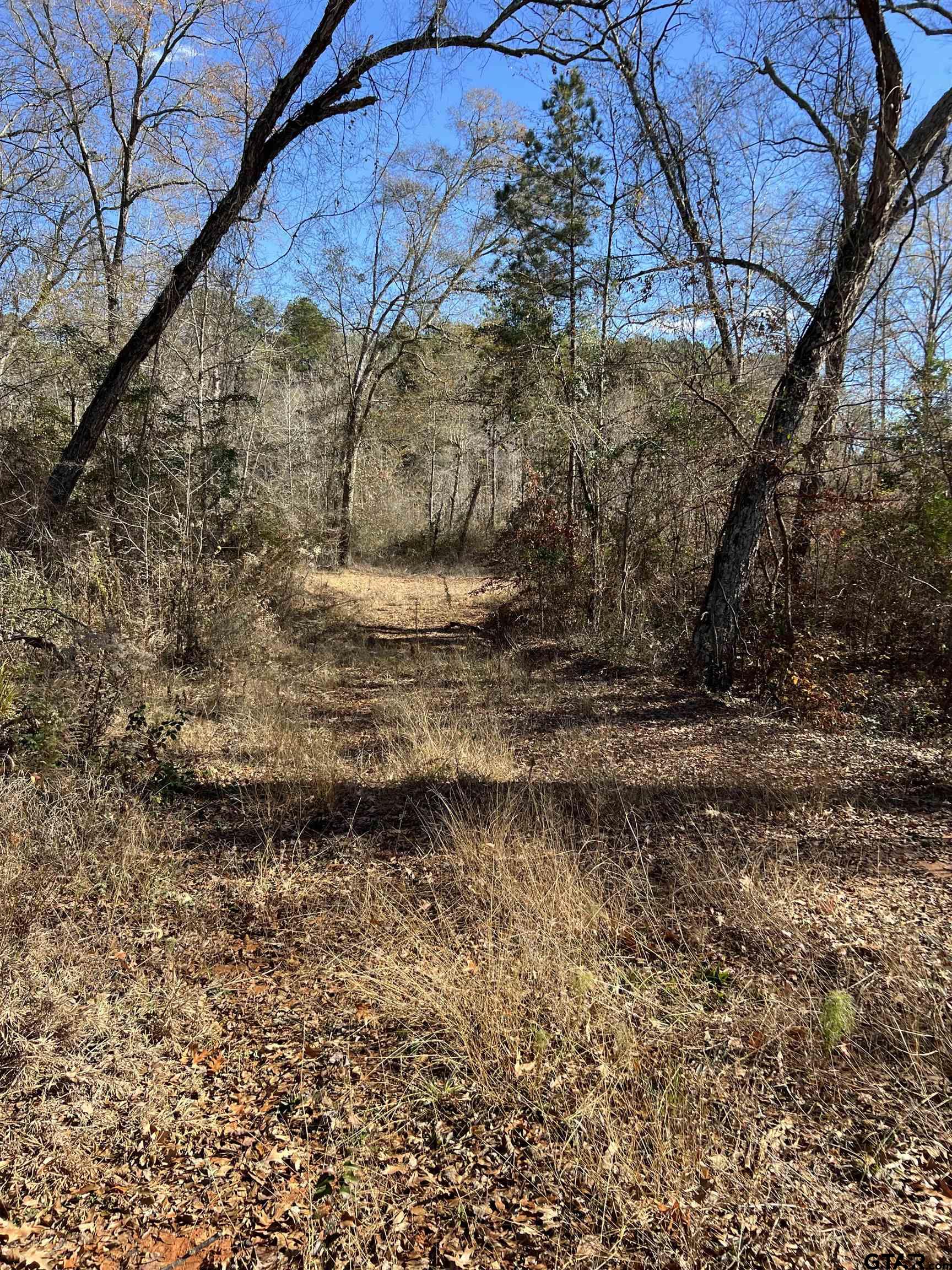 Cr 129 & 15 Property Photo 17