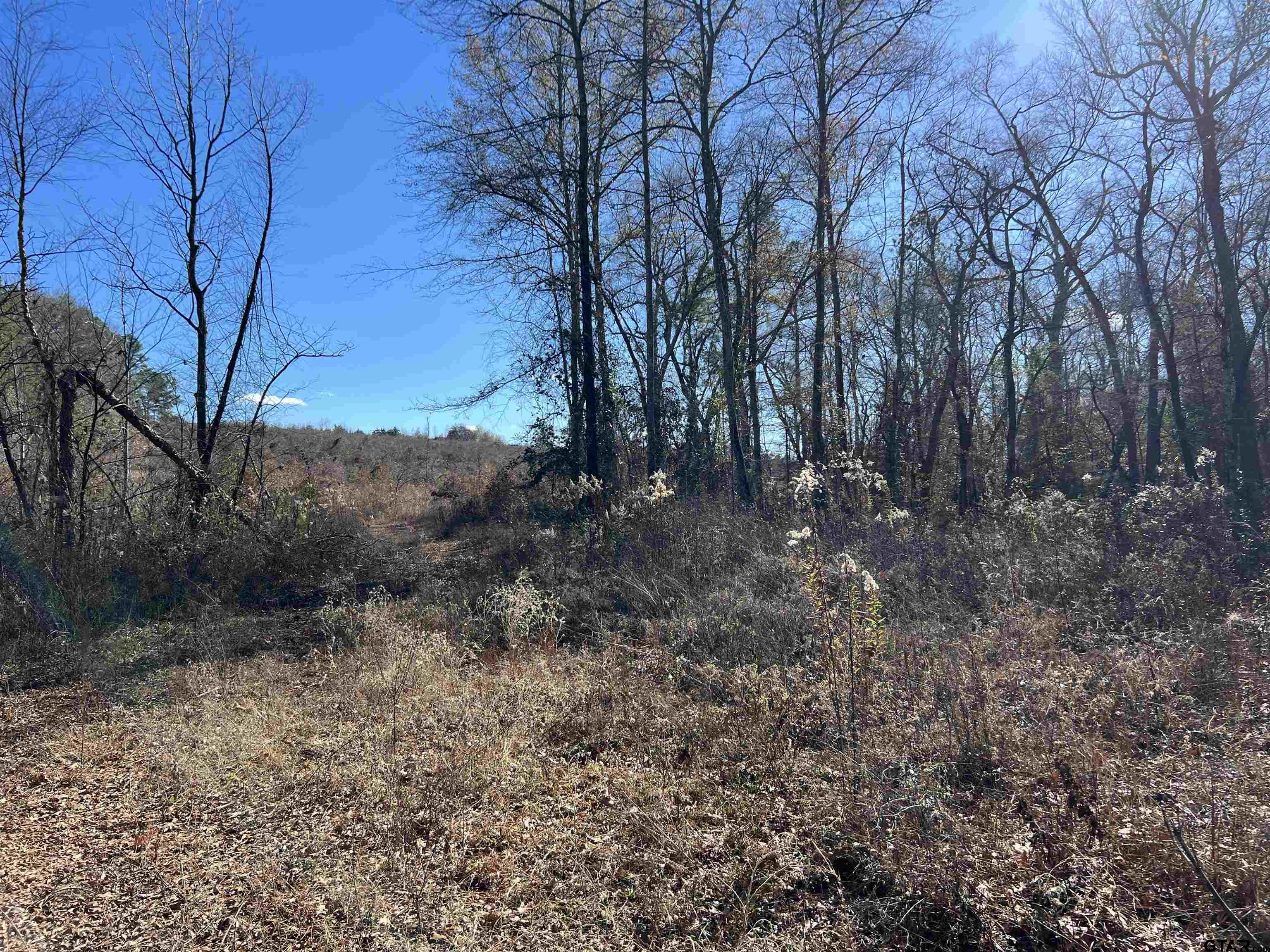 Cr 129 & 15 Property Photo 18