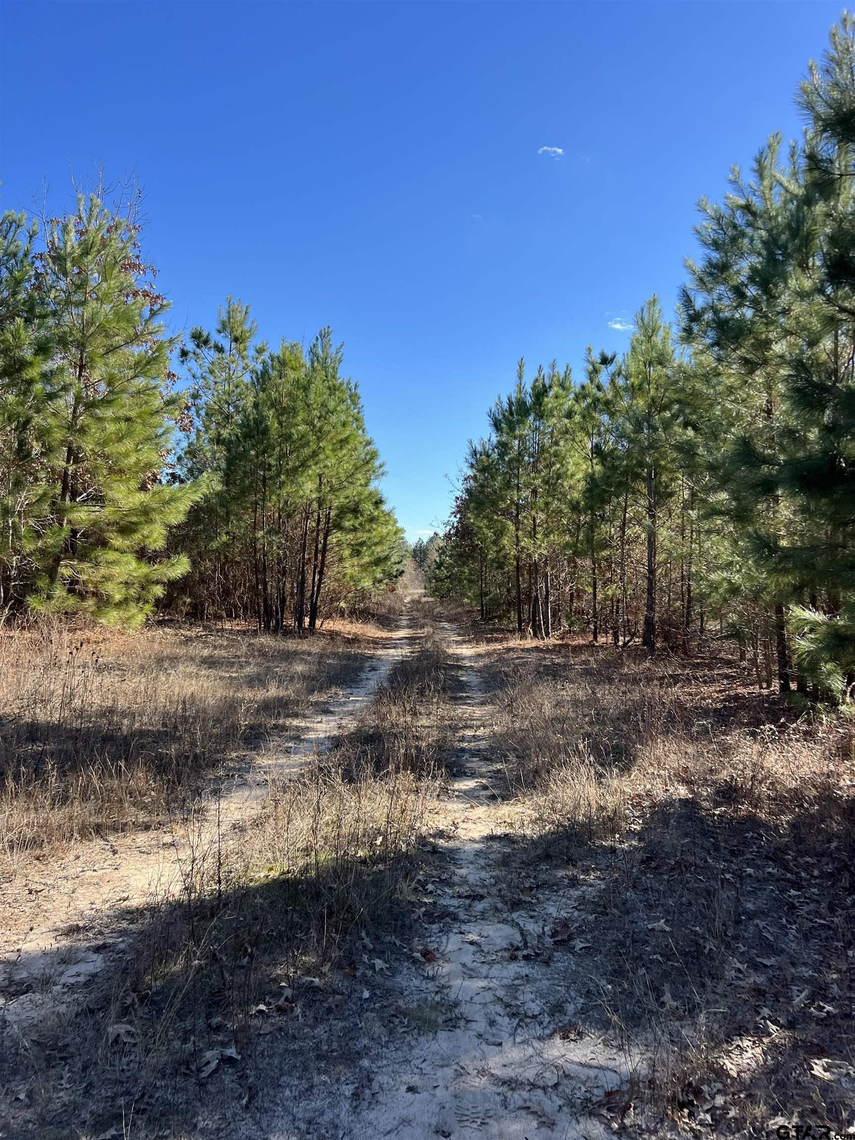 Cr 129 & 15 Property Photo 20