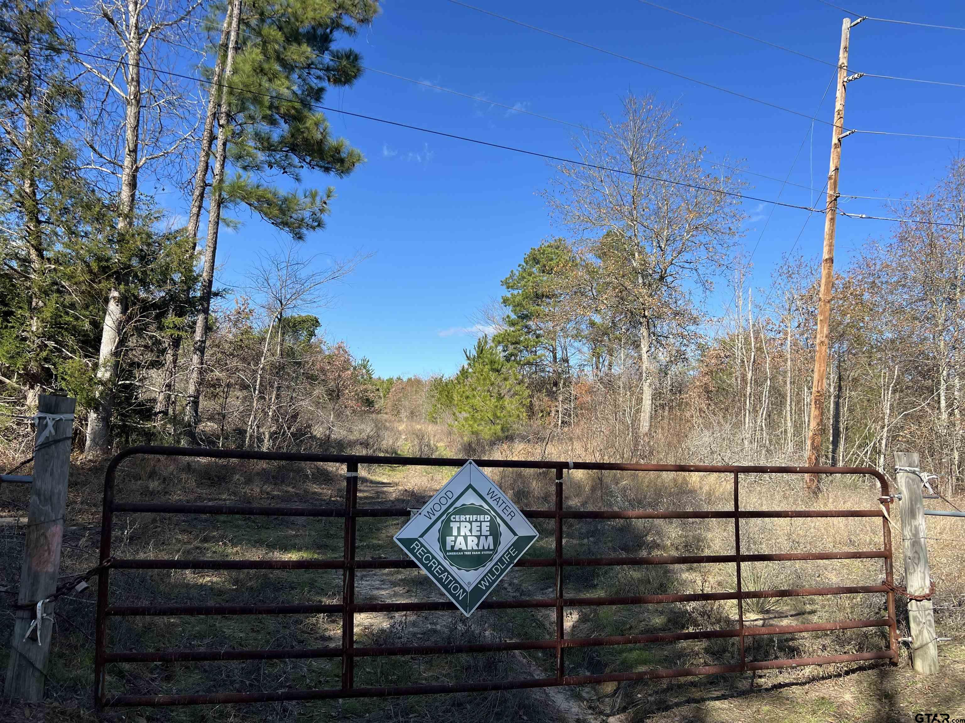 Cr 129 & 15 Property Photo 23