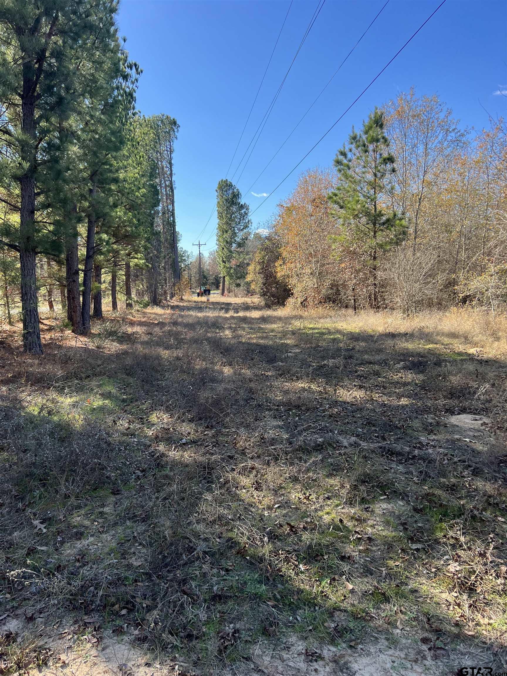 Cr 129 & 15 Property Photo 24