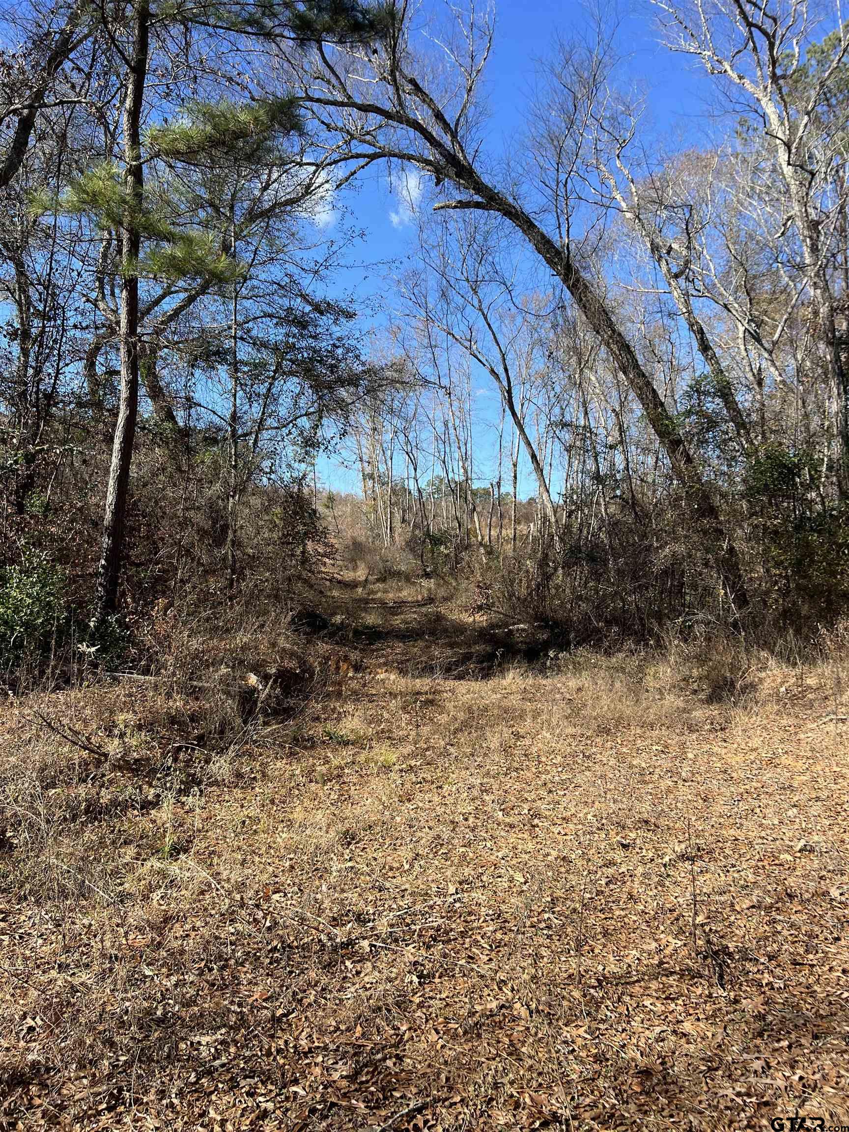 Cr 129 & 15 Property Photo 25