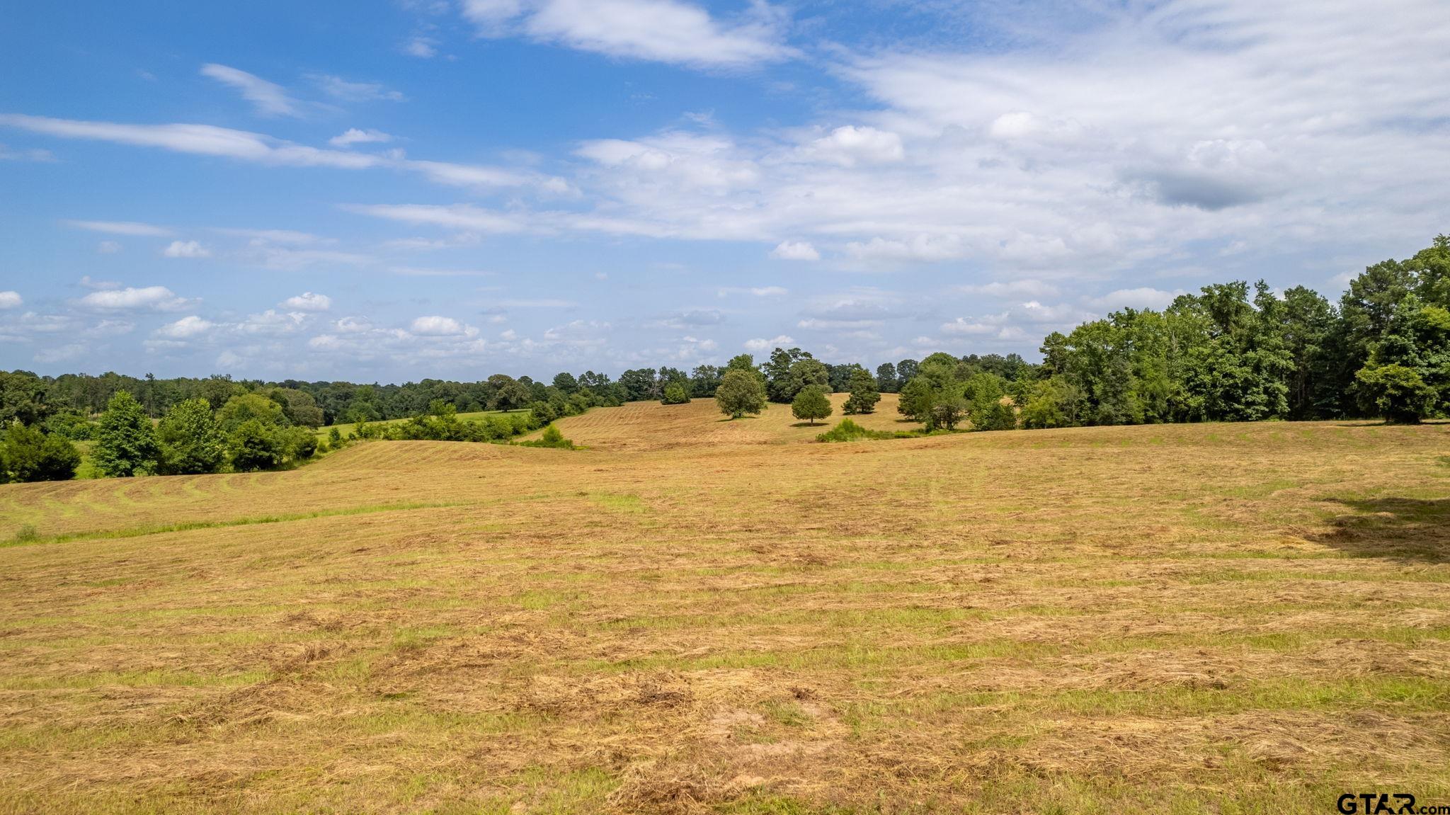 Tbd Cr 3816 Property Photo