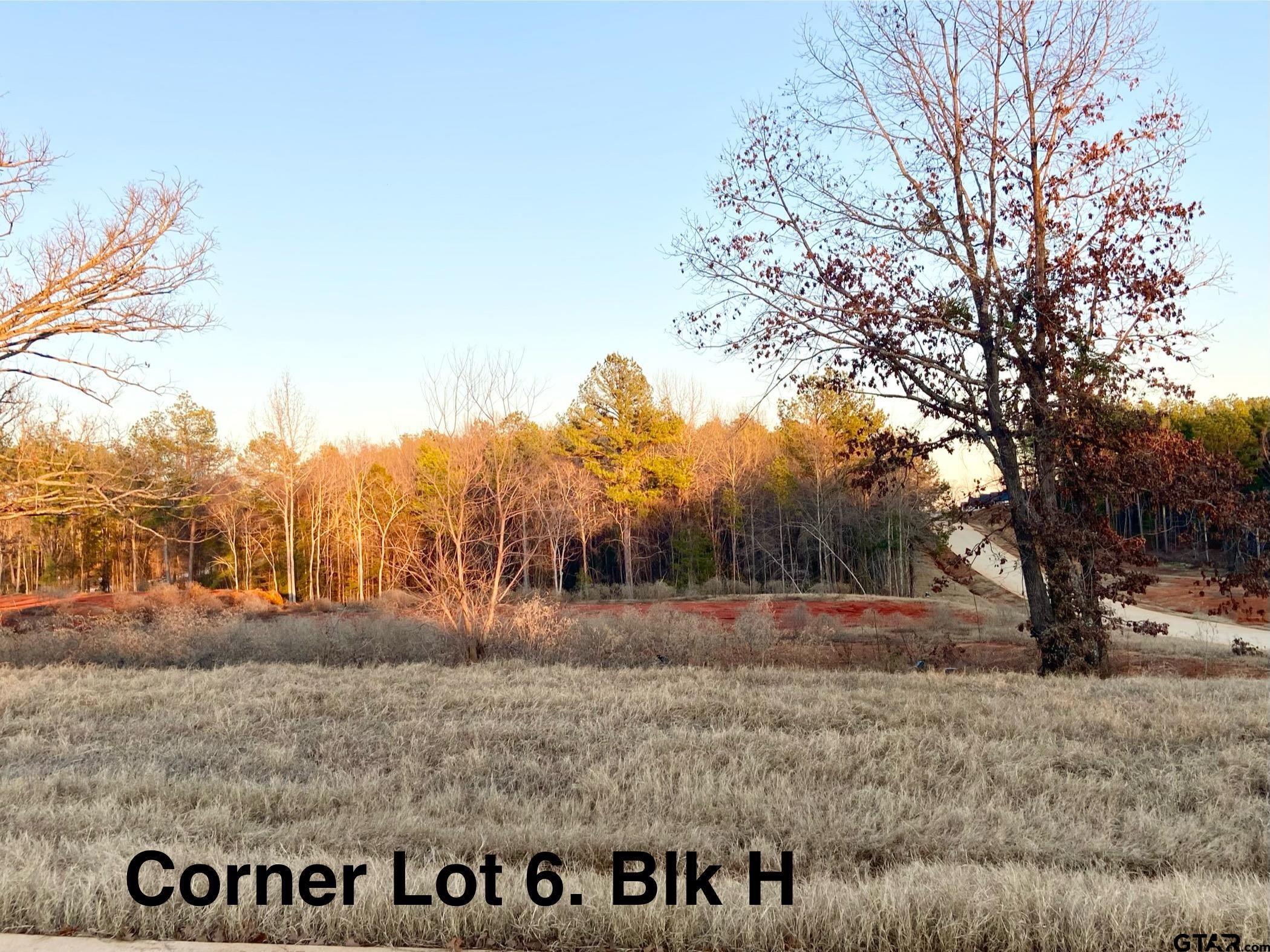 12348 Hackberry Hollow Lot 6, Blk H Property Photo