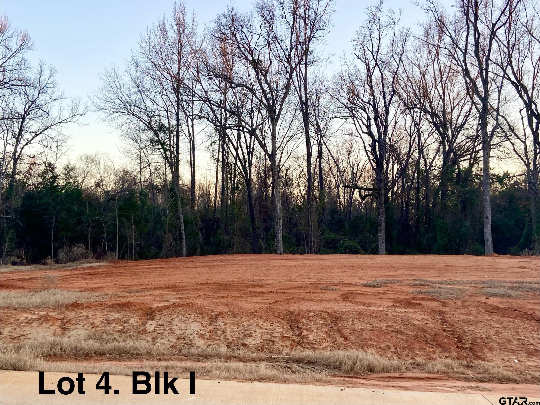 12331 Hackberry Hollow Lot 4, Blk I Property Photo