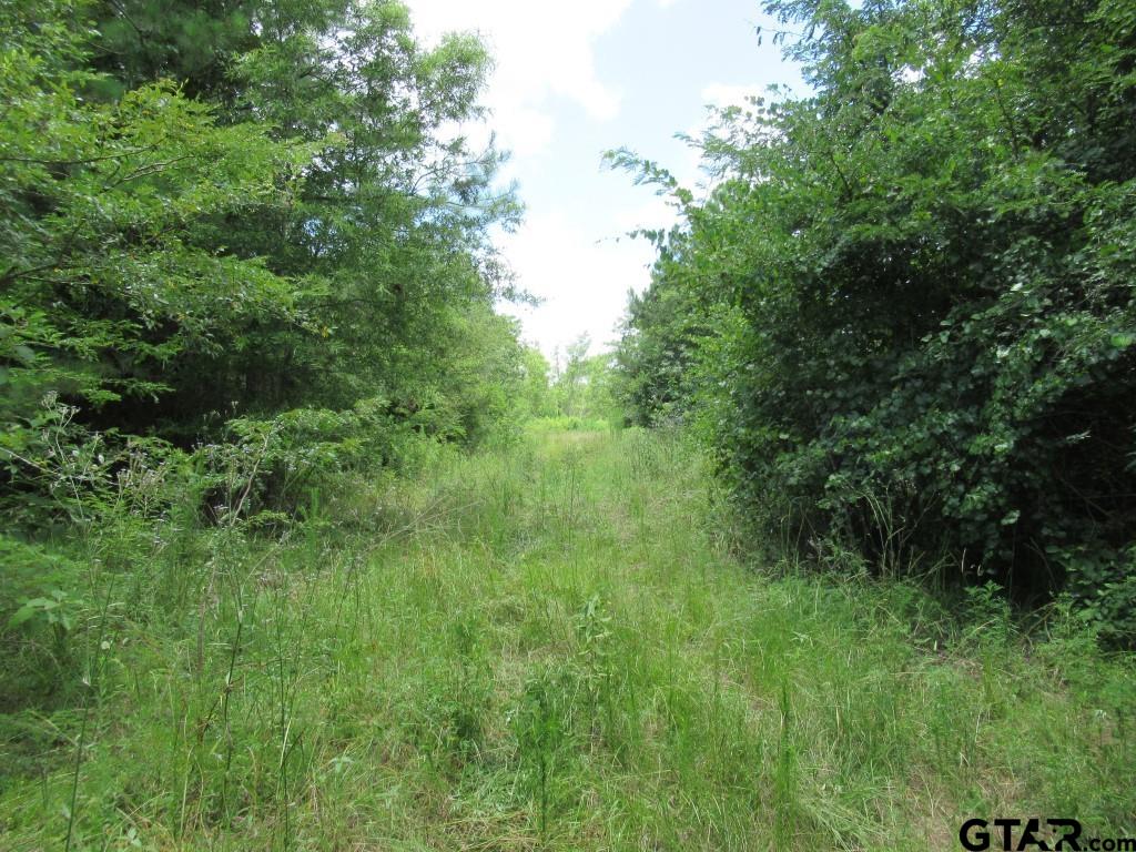 269.62 Ac Cr 438 Property Photo