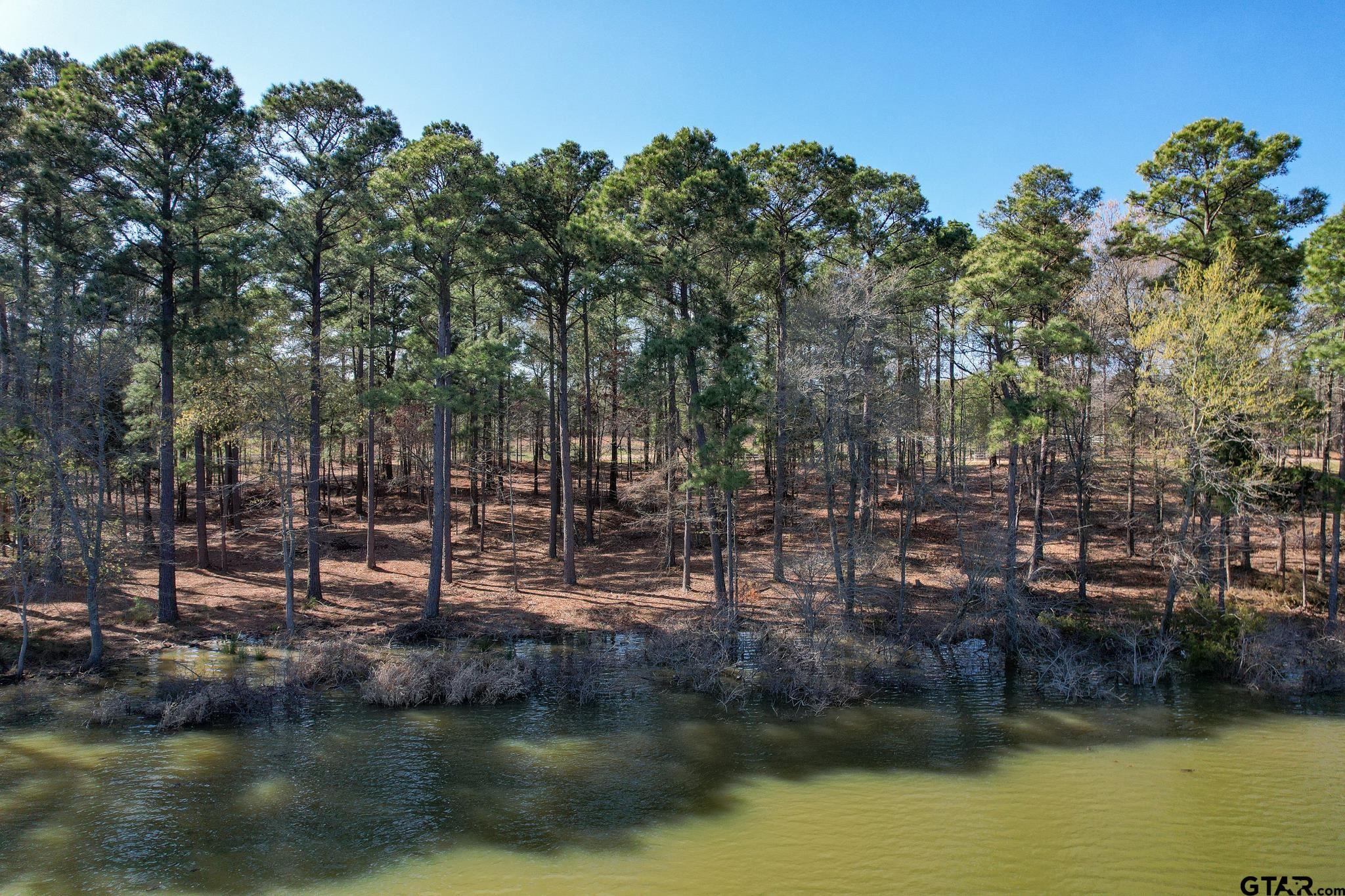 Lot 3 Caddo Point Property Photo