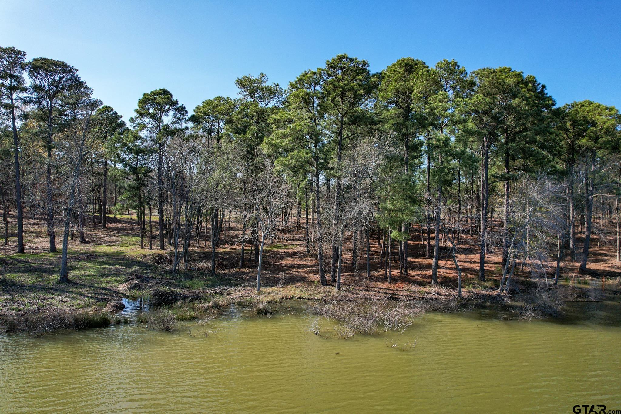 Lot 2 Caddo Point Property Photo