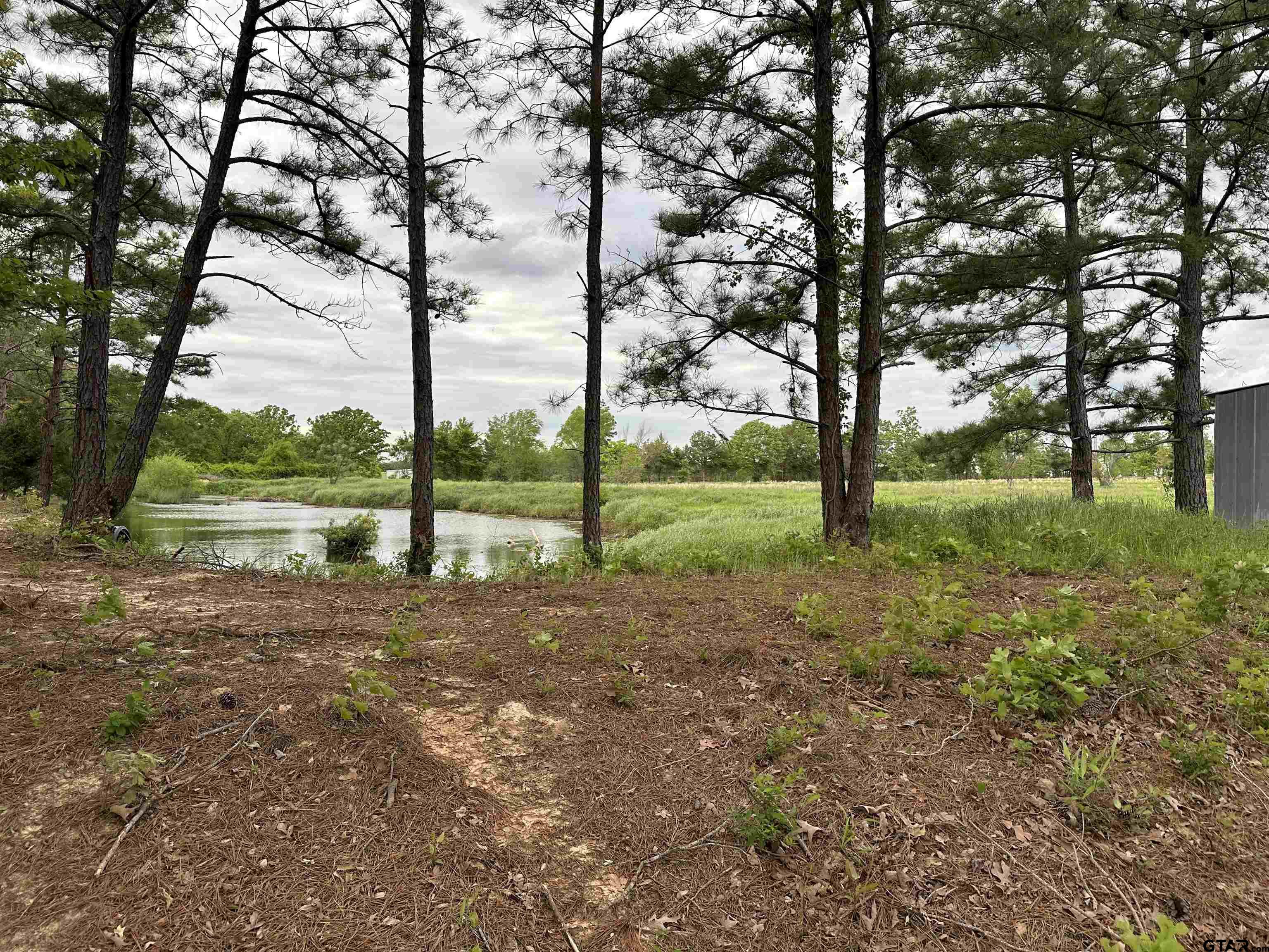 Lot 2 CR 3612 Property Photo 1