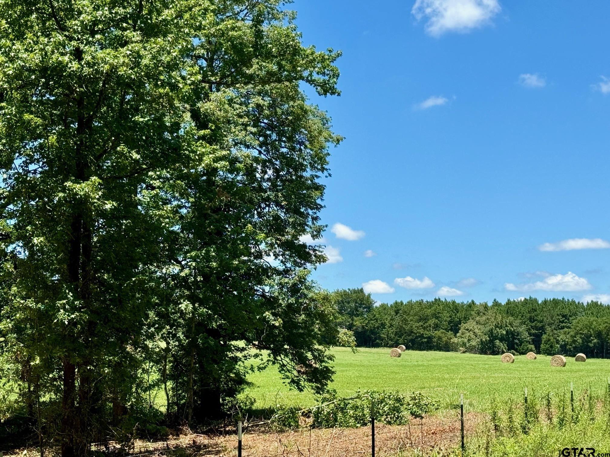 Tbd Cr 4230 Property Photo 1