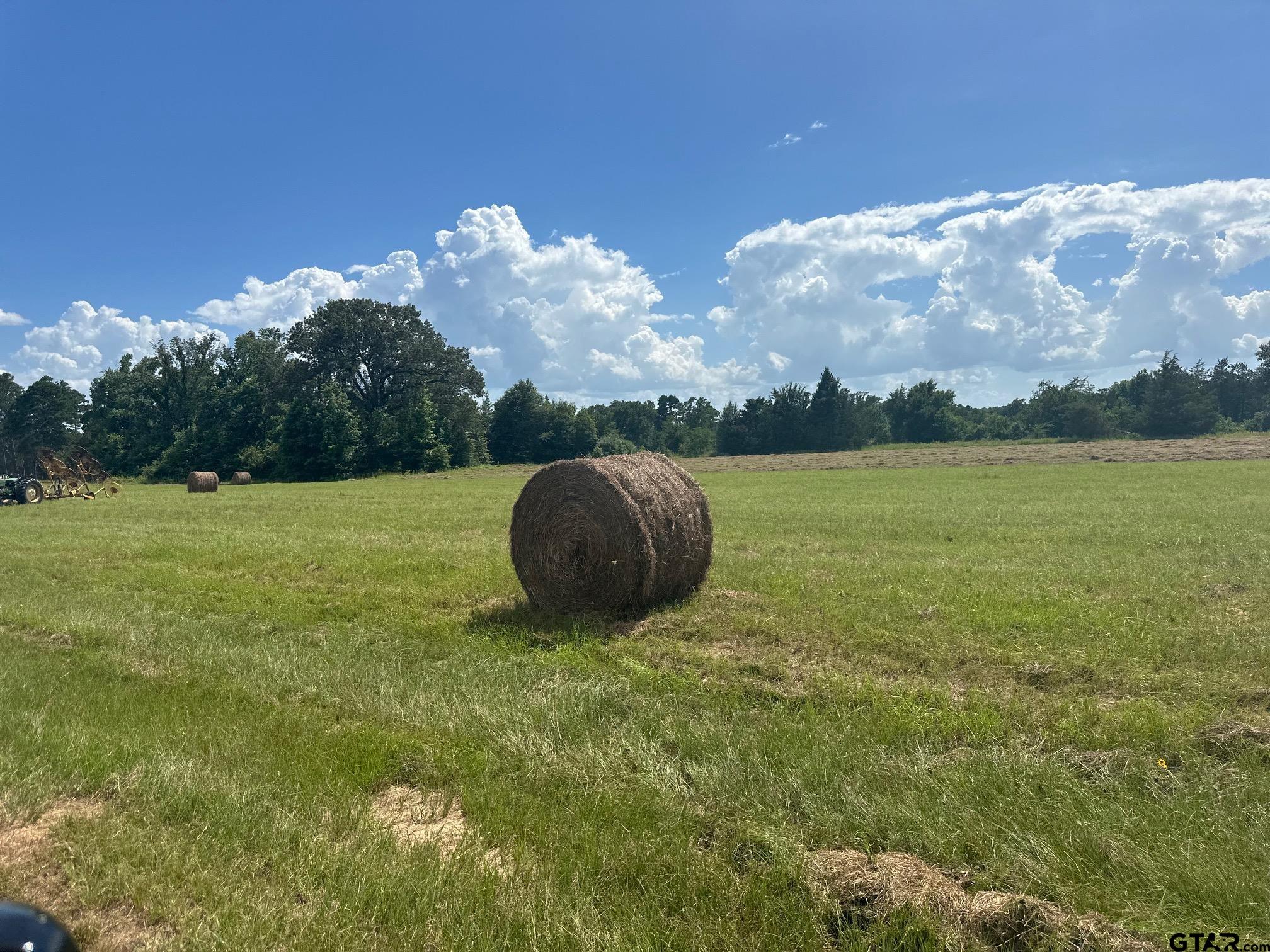 16611 Old Noonday Road Property Photo 31