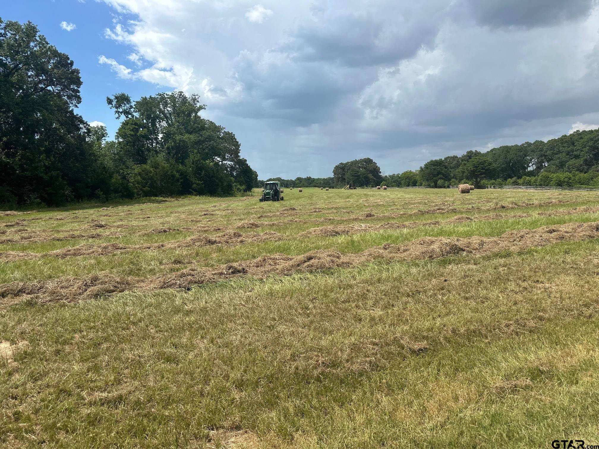 16611 Old Noonday Road Property Photo 40