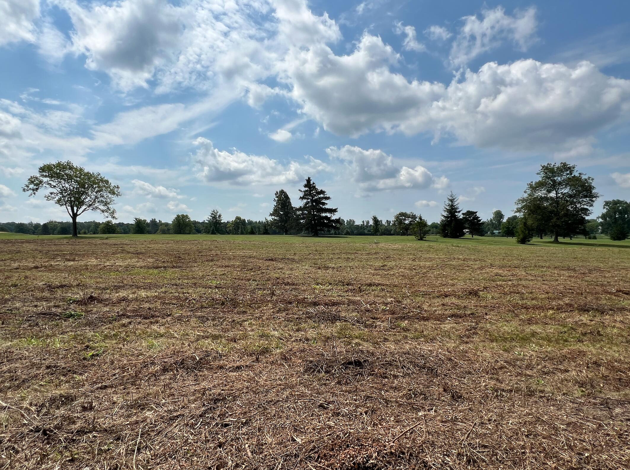 0 Sharp Property Photo 3